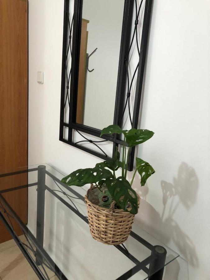 Moschoula Studios Plaka Πλάκα Μήλου Εξωτερικό φωτογραφία